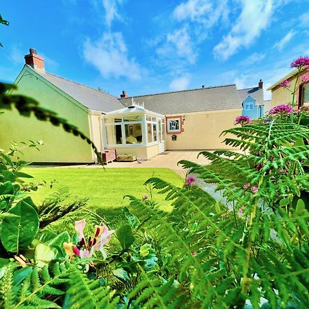 Cosy Cottage - Whitchurch, Solva Dış mekan fotoğraf