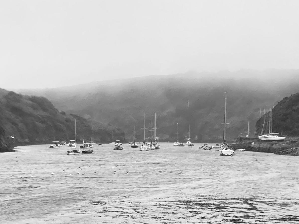 Cosy Cottage - Whitchurch, Solva Dış mekan fotoğraf