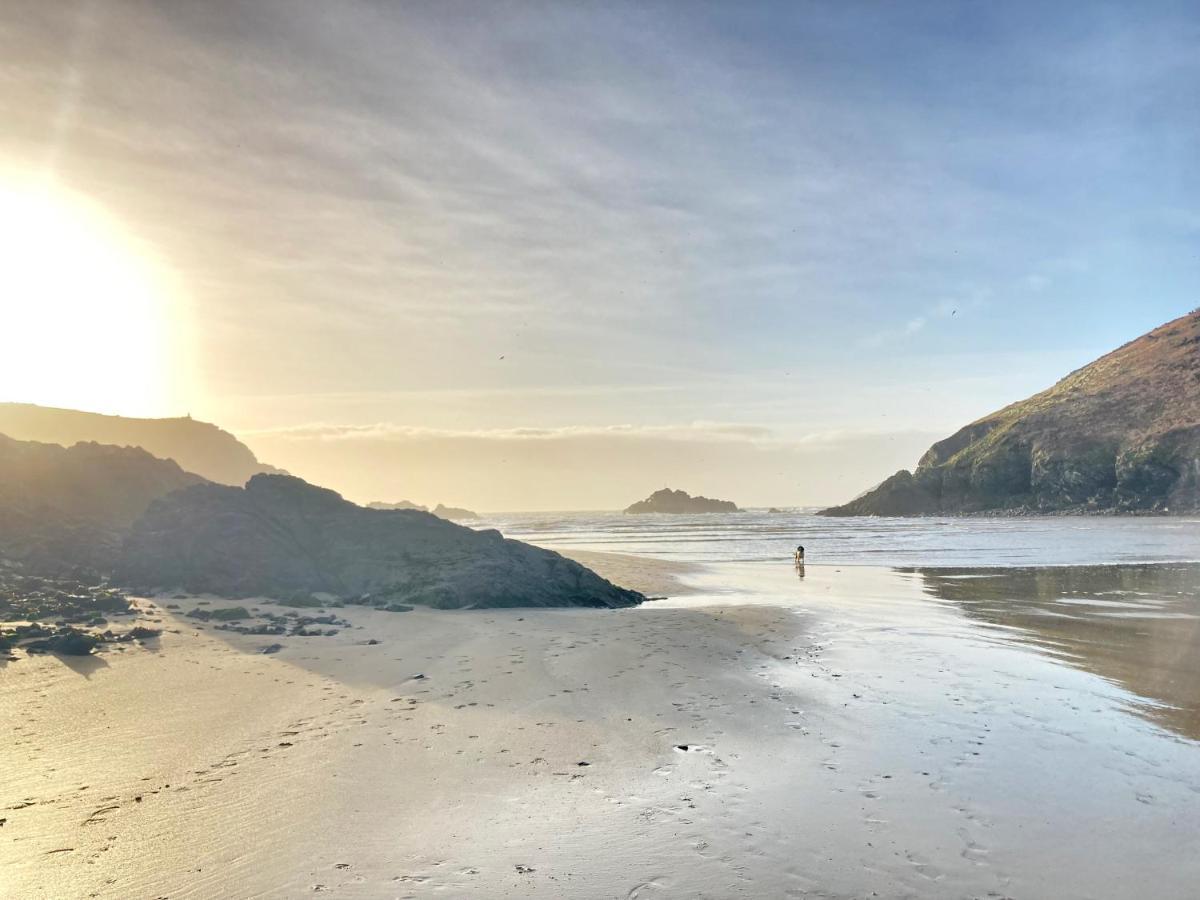 Cosy Cottage - Whitchurch, Solva Dış mekan fotoğraf